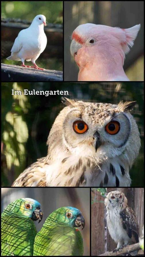 Wohnen Im Eulengarten Oranienburg Zewnętrze zdjęcie
